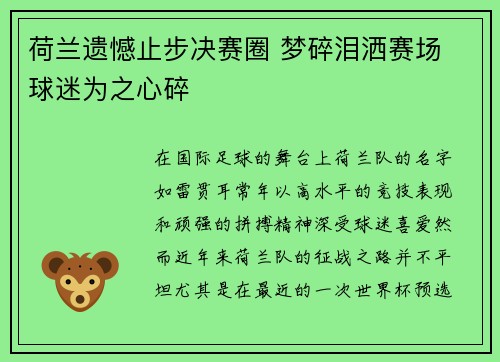 荷兰遗憾止步决赛圈 梦碎泪洒赛场 球迷为之心碎